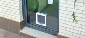 Gatera en puerta de cristal